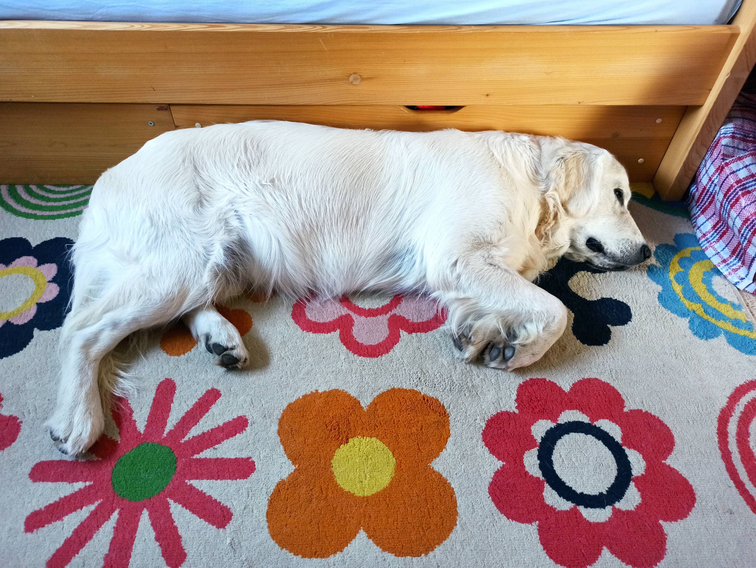 IMG 20211011 085620 - ...