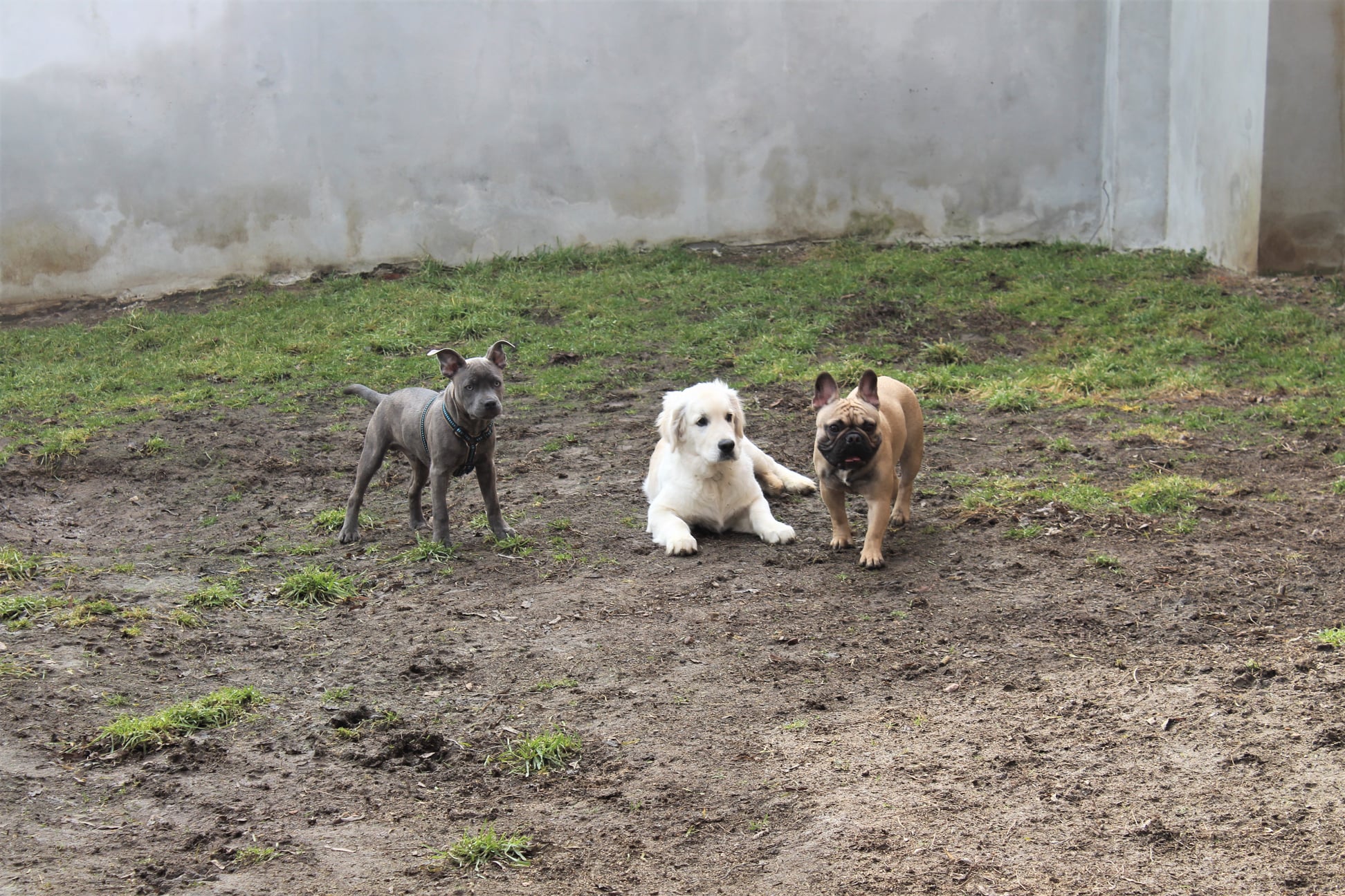 Albi ve školce v roce 2021