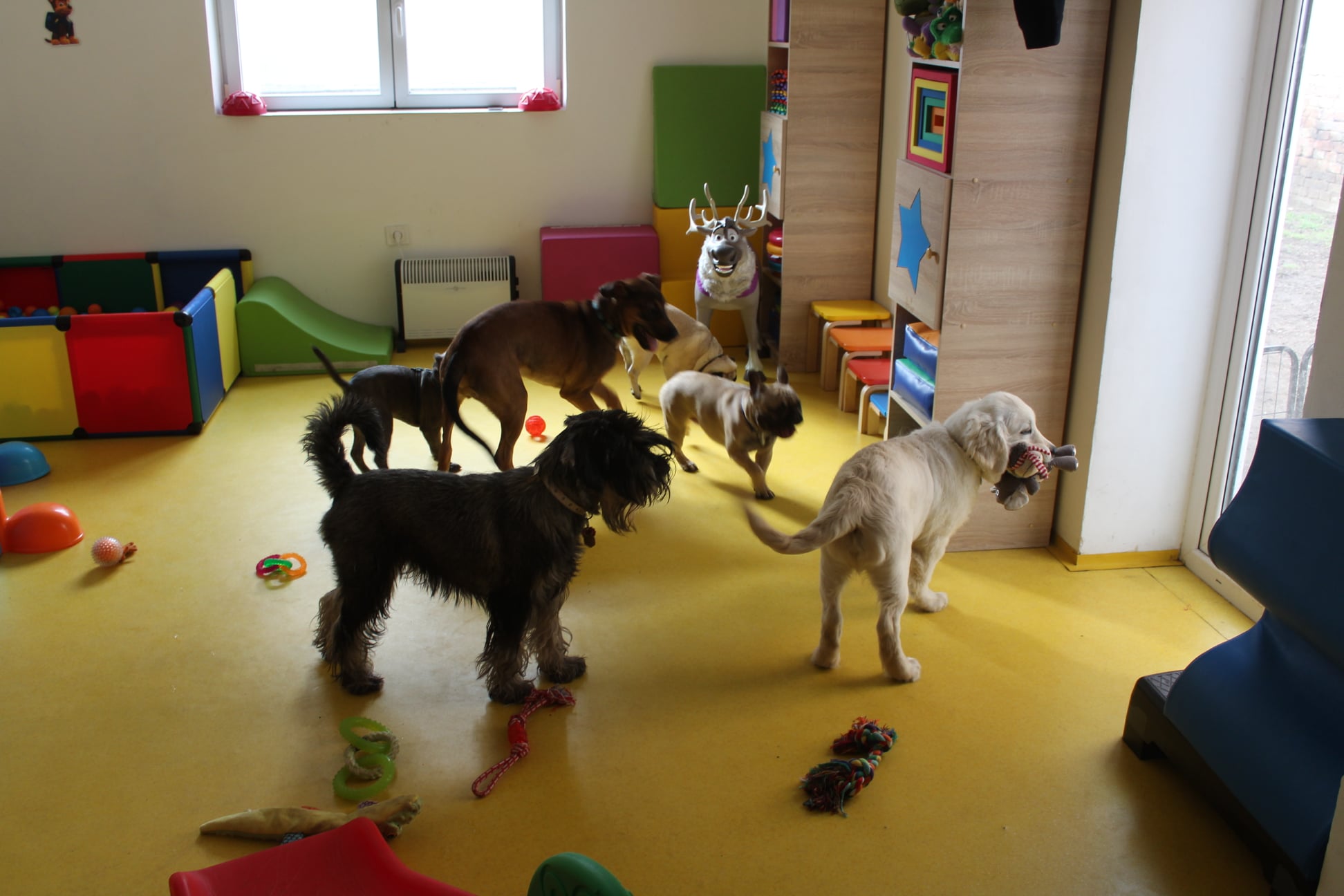 153043818 707249659893861 3321761361787480178 n - ...