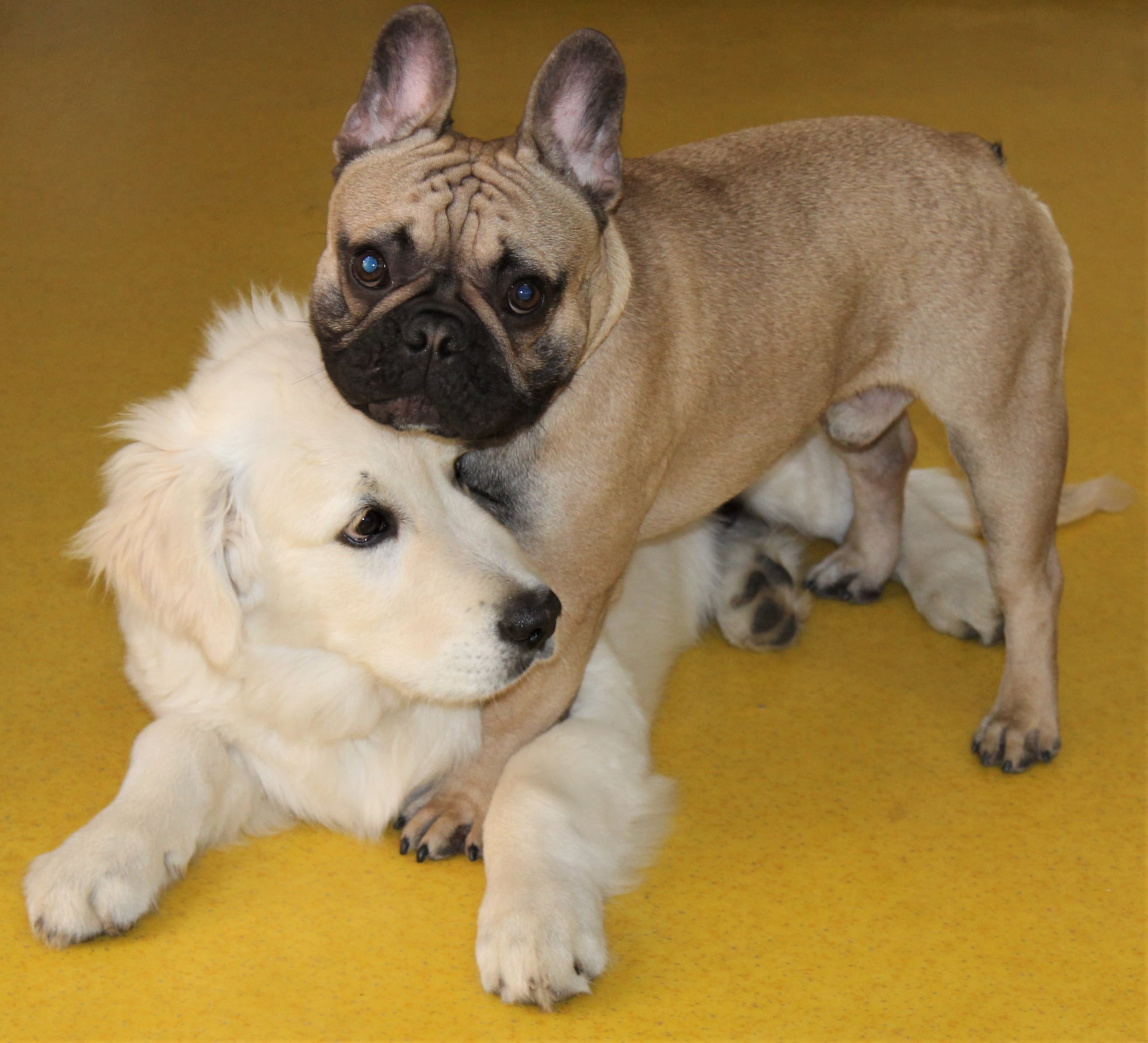 157119526 712361746049319 8161585791750601878 n - ...