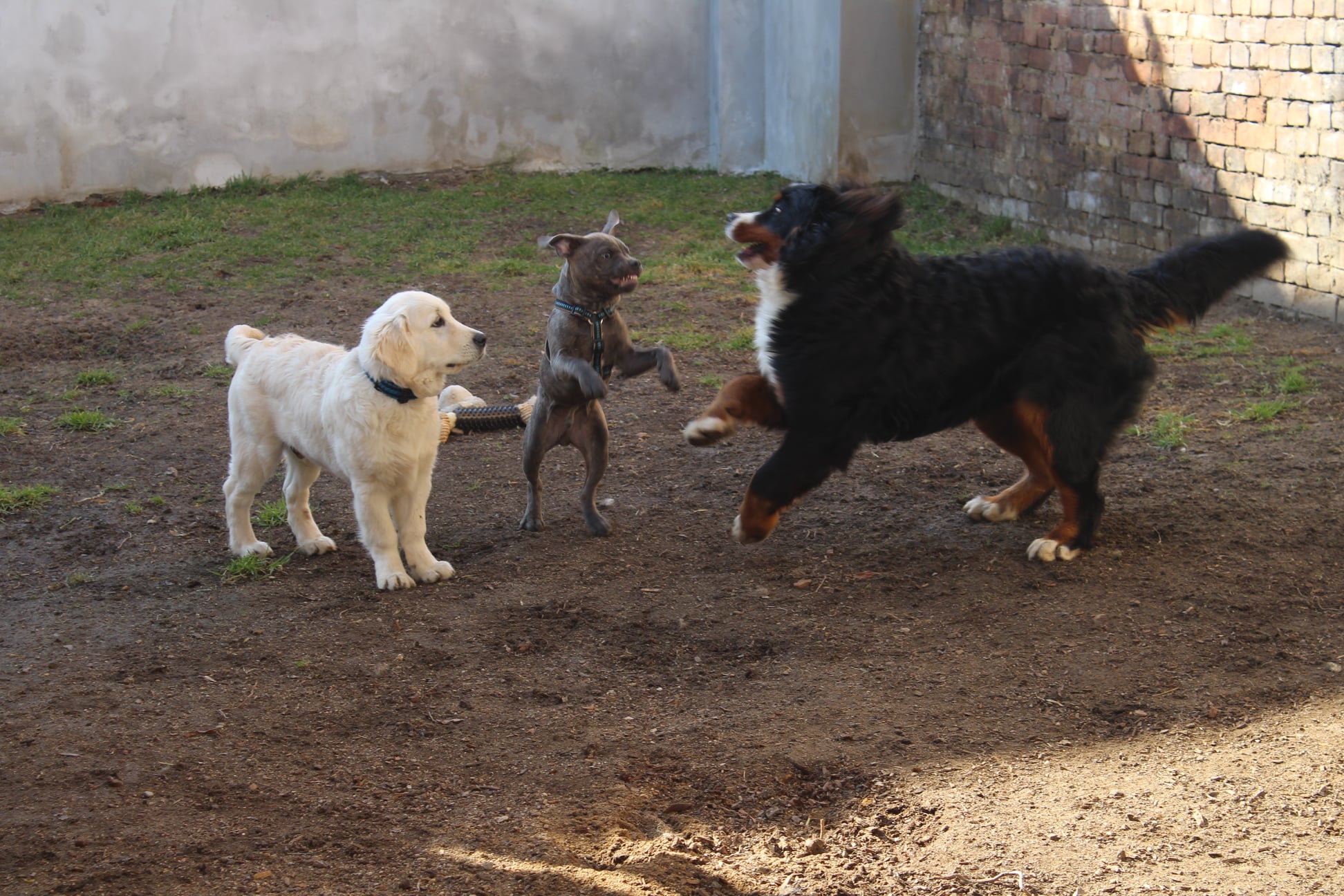 160157597 716902862261874 7938758078930784482 n - ...