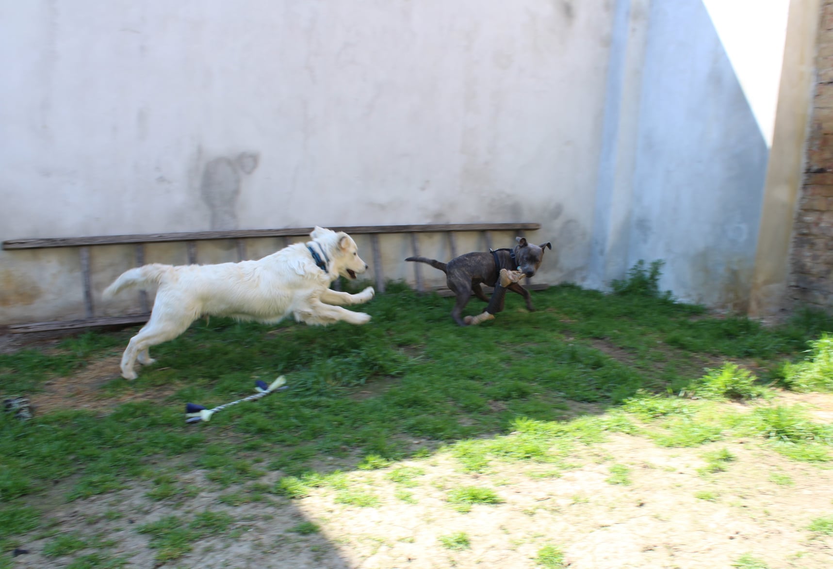 179367814 741318873153606 3820330606131100956 n - ...