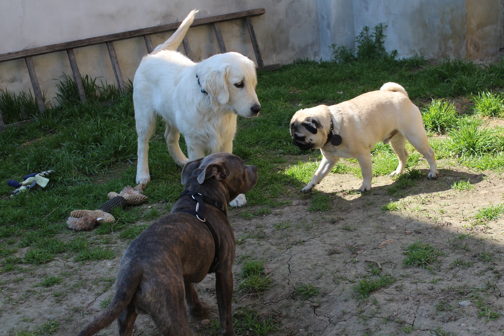 179747995 741319259820234 6798588325846256139 n - ...