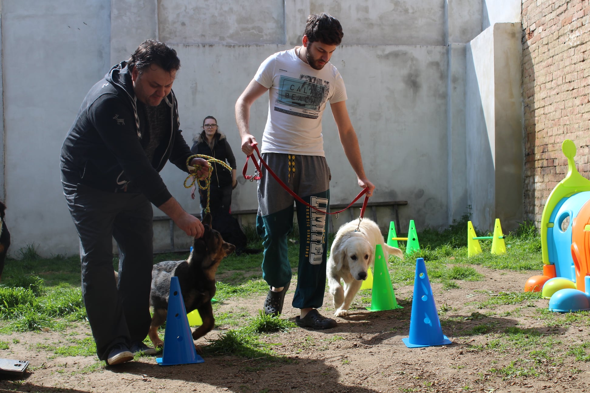 183013652 745278526090974 4903973256029899338 n - ...