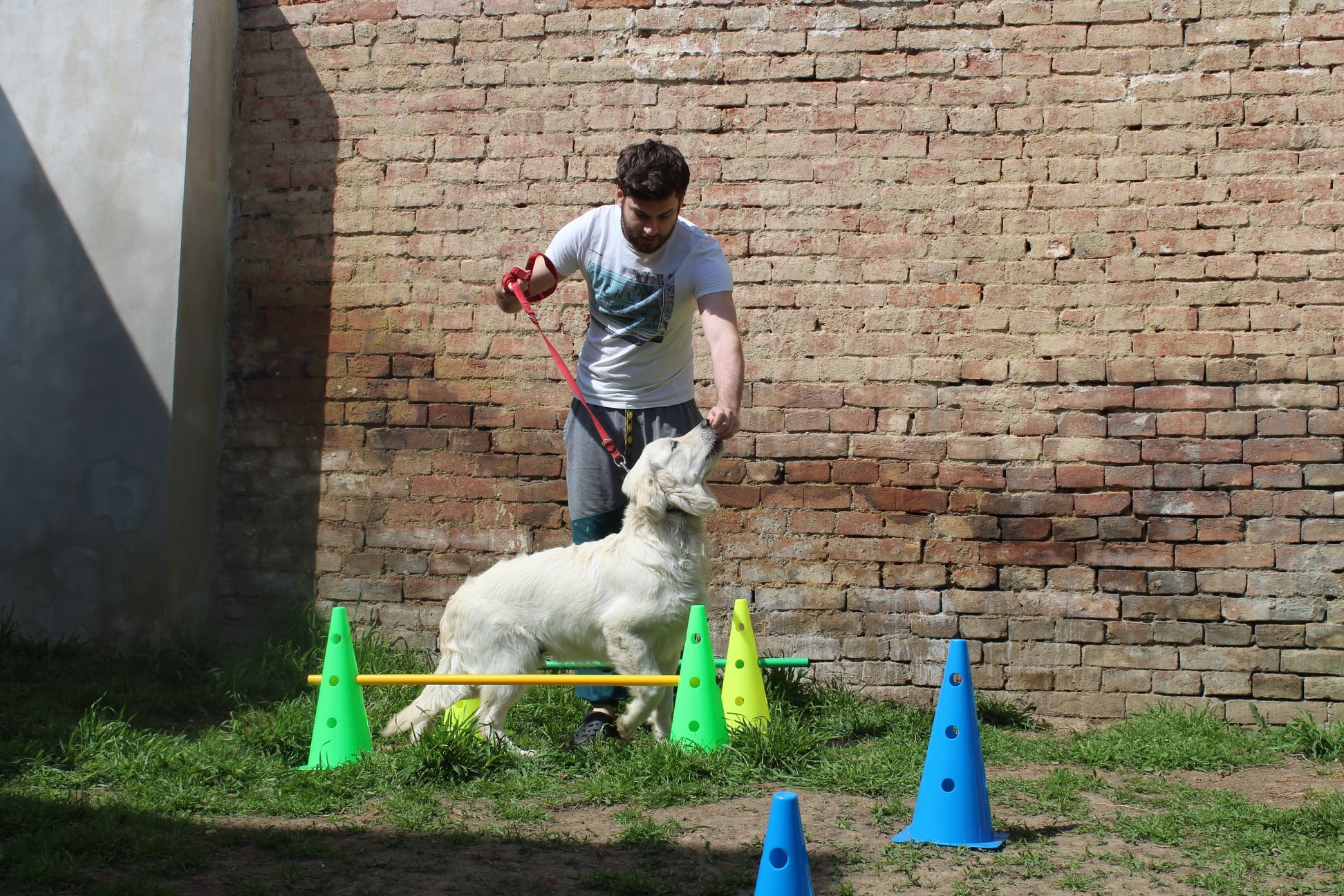 183494774 745280216090805 6193672564378587459 n - ...