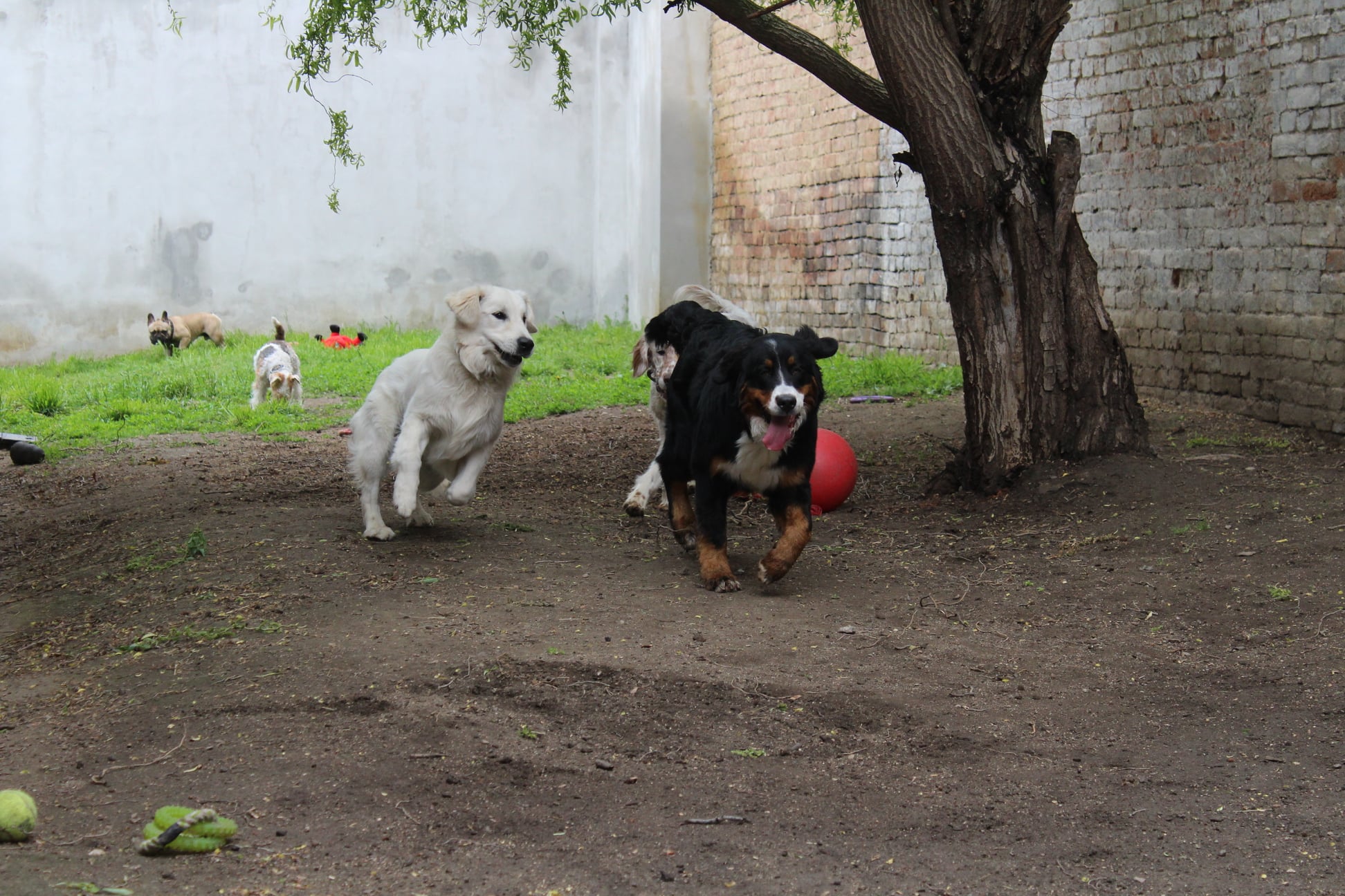 191429151 755505671734926 6261563893602578578 n - ...