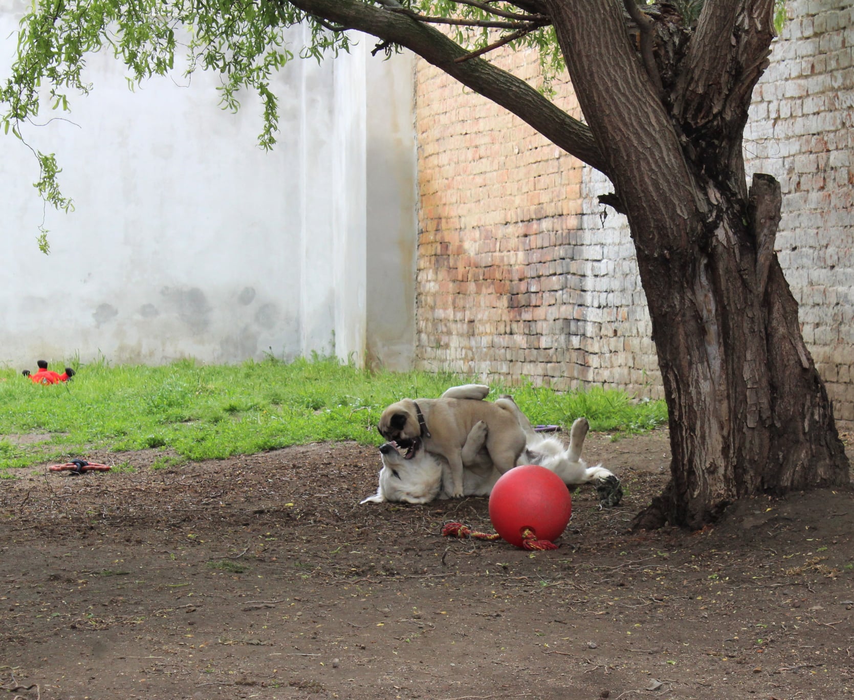 193035720 757090034909823 8410431587639127010 n - ...