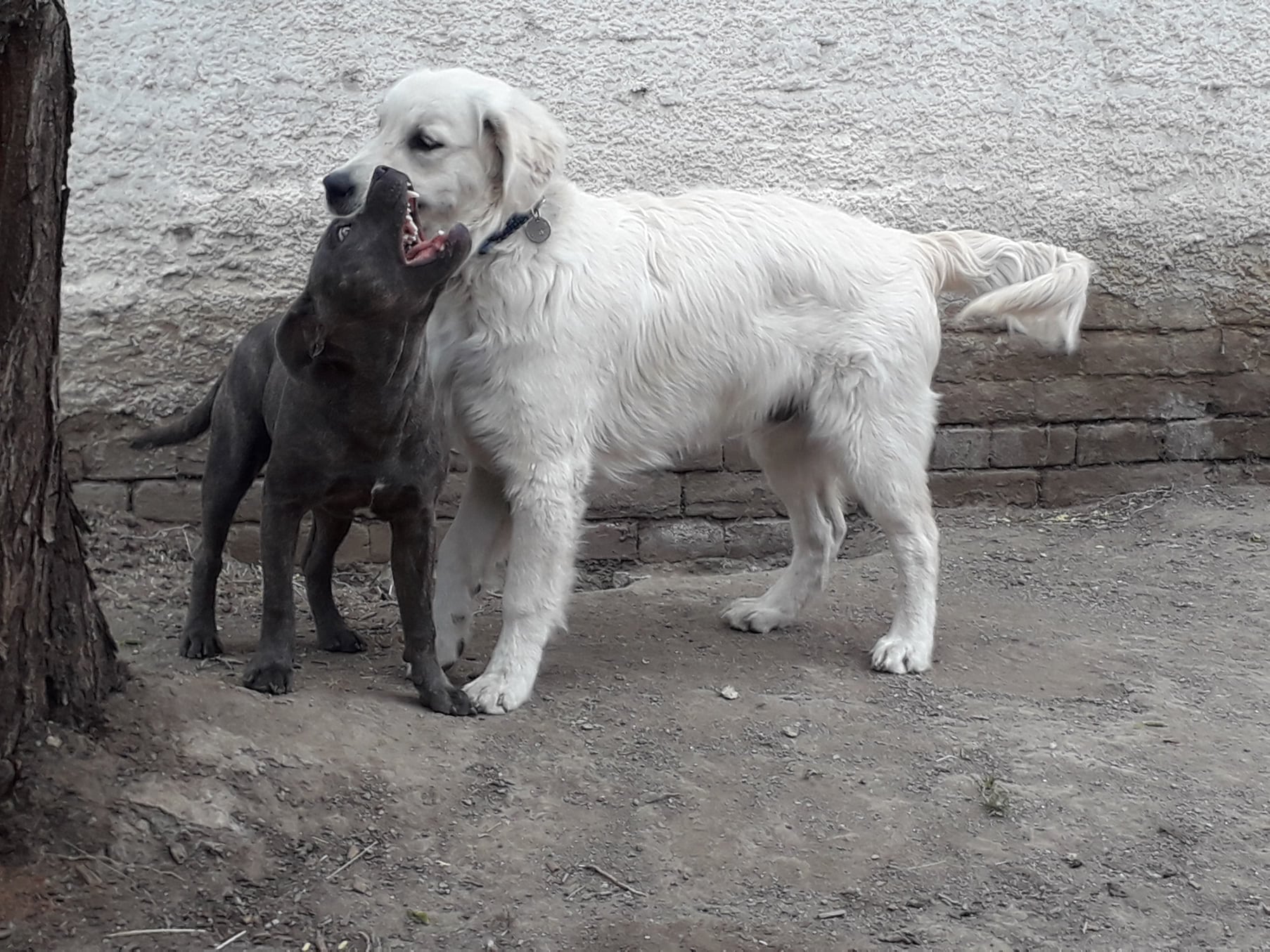 193404919 757544994864327 3170689925631931822 n - ...