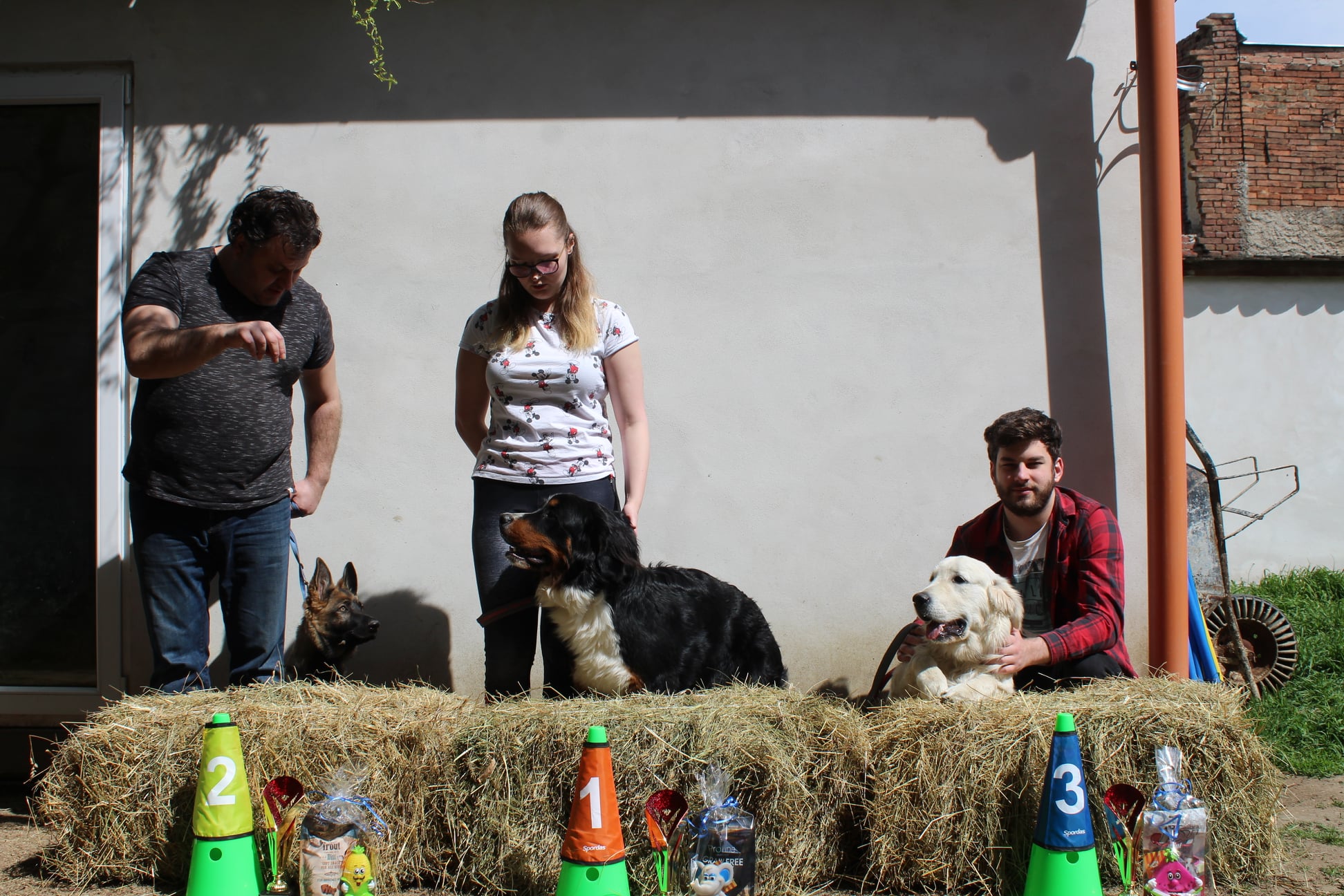 198052996 762142221071271 5110649377400372067 n - ...