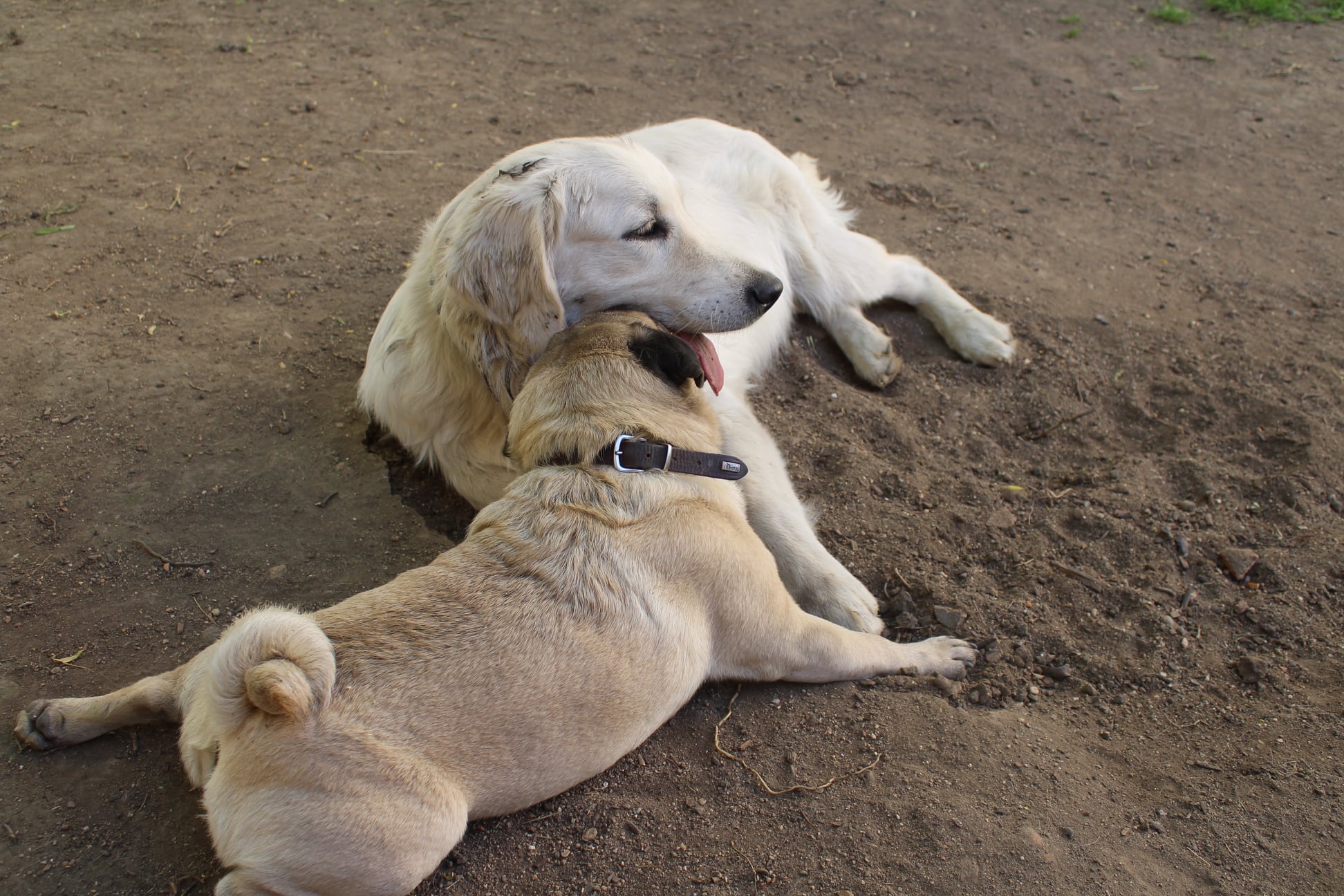 199722252 764813217470838 4835591287597665553 n - ...