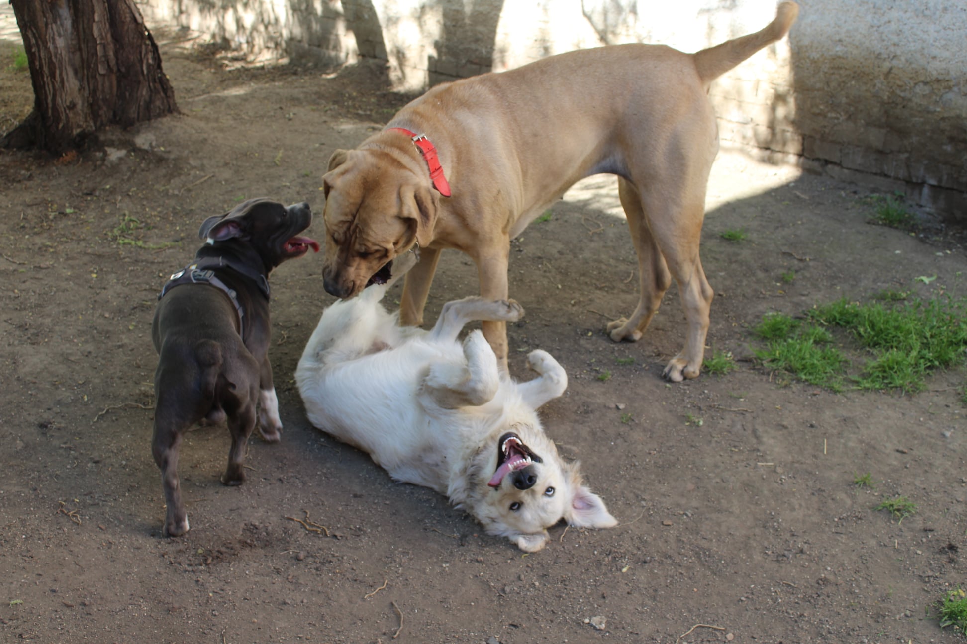 200011408 764812357470924 6421336906562375959 n - ...