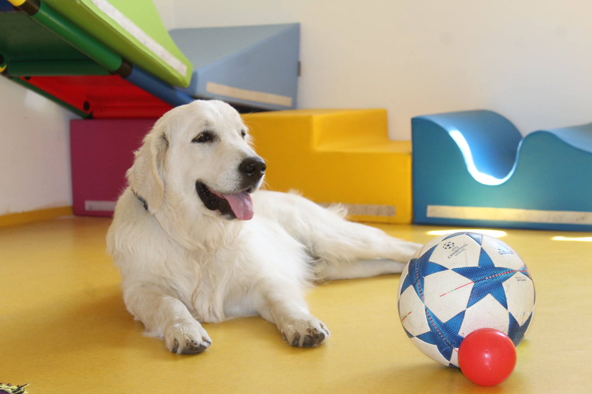 204571974 770561726895987 5495487351650104368 n - ...