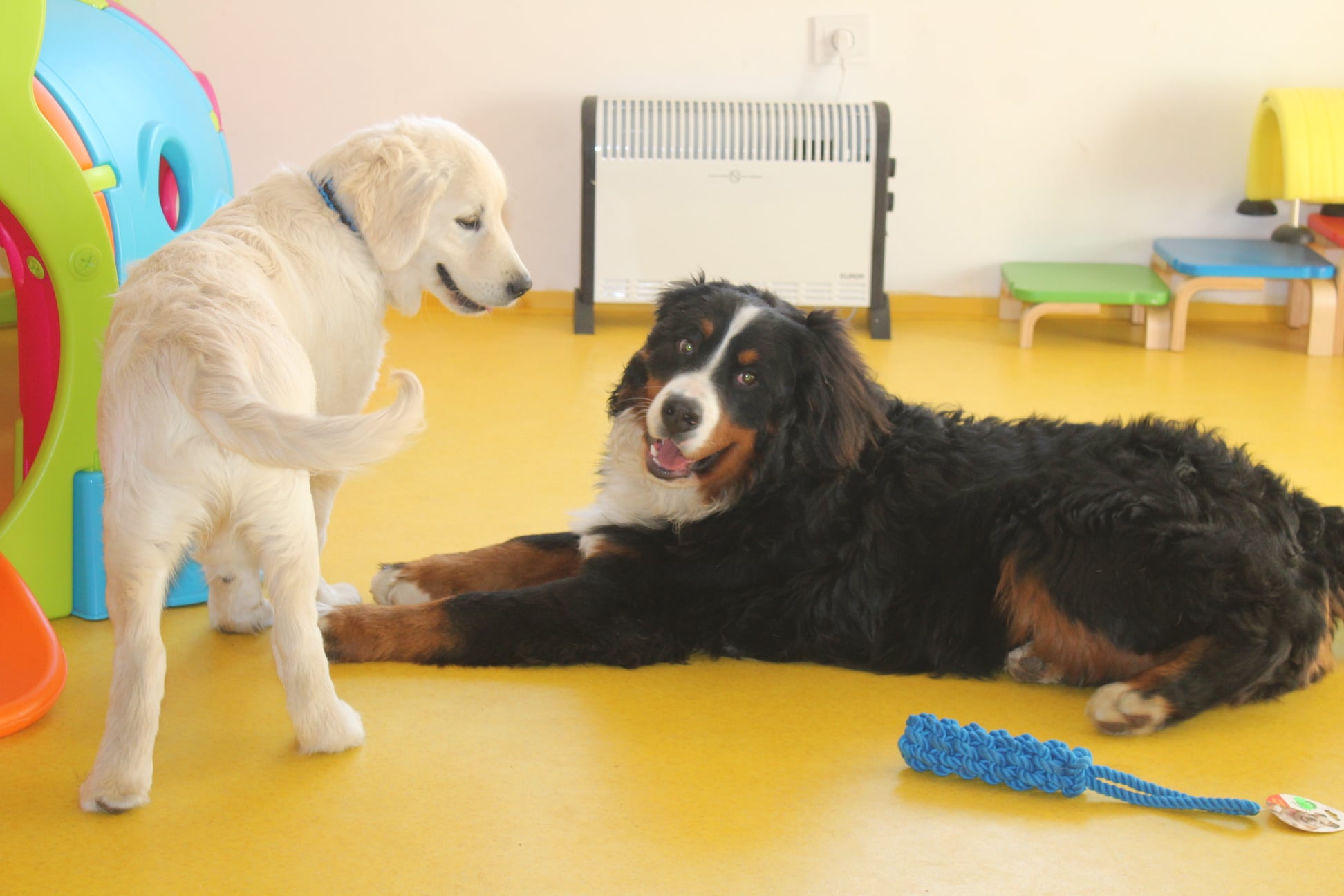 216641678 780128092606017 2126686877183314441 n - ...