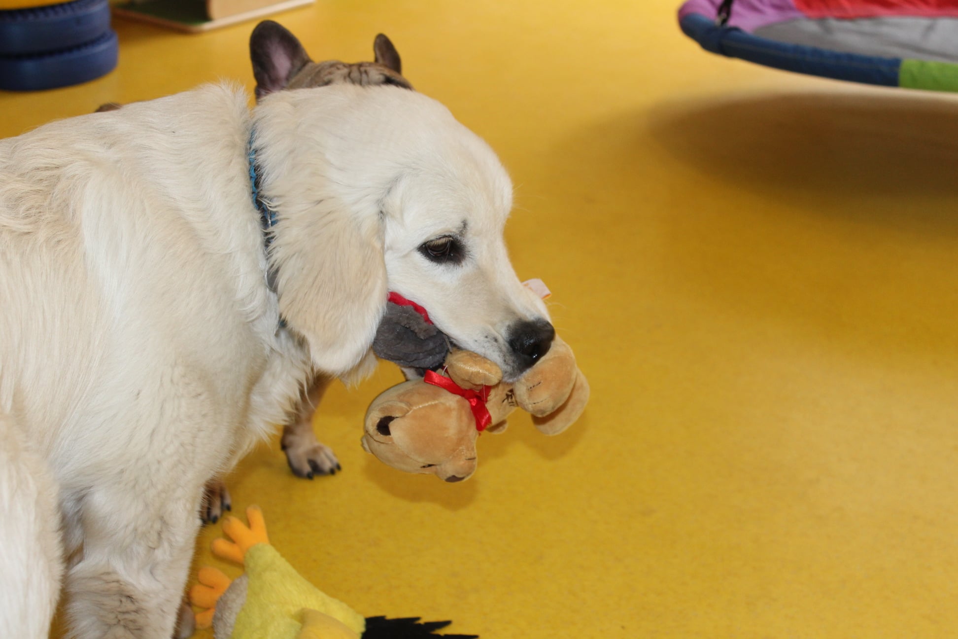 216663856 780142619271231 2841183891640334152 n - ...