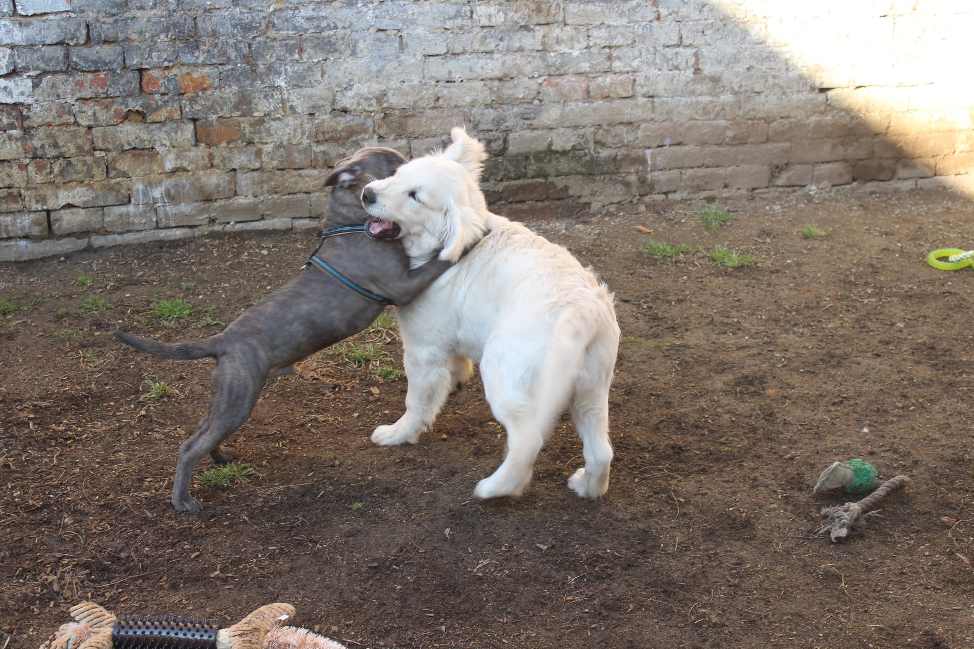 216791774 780125295939630 4106645030297063759 n - ...