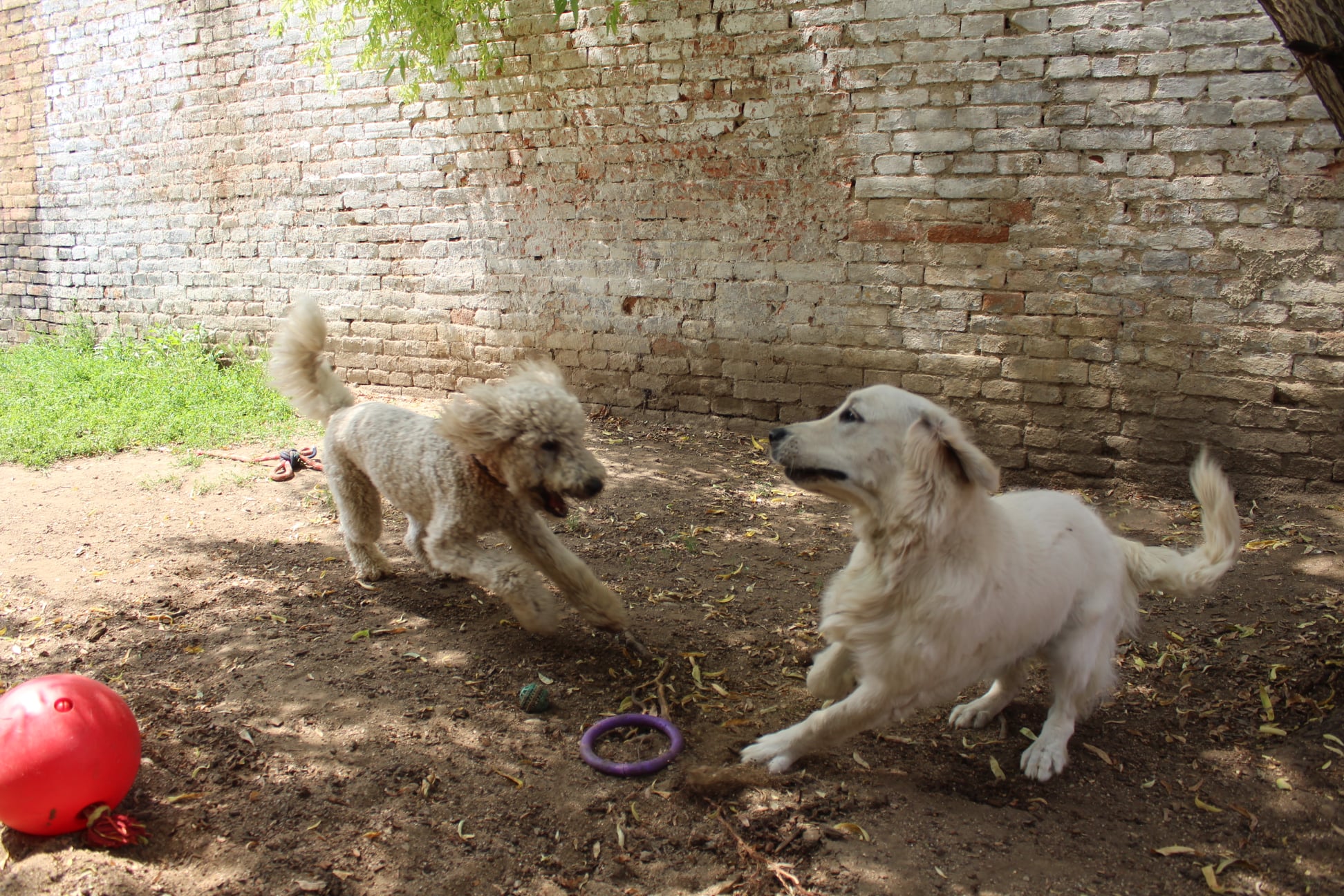 217080486 780847285867431 8991909999203903440 n - ...