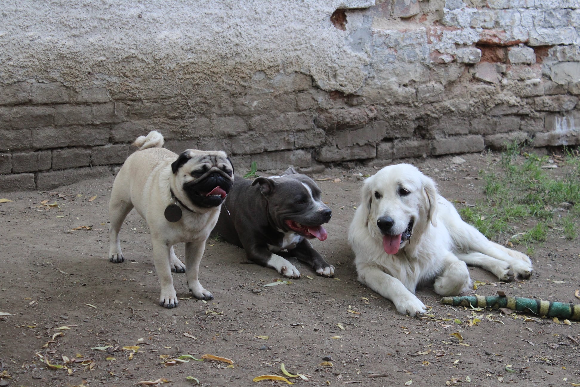 217125173 780847912534035 7443270615275091160 n - ...