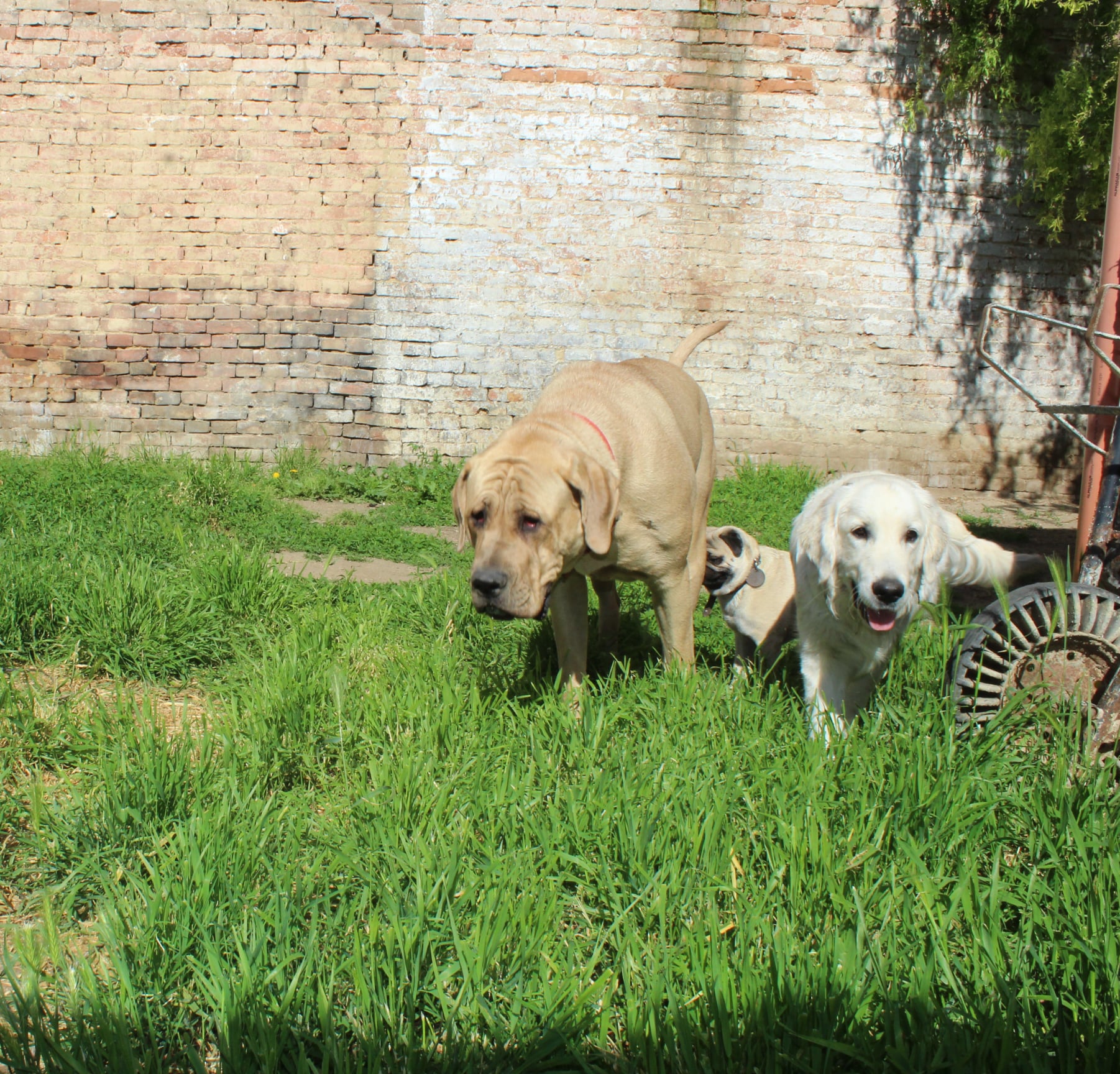 217325061 780811222537704 8462790144571402439 n - ...