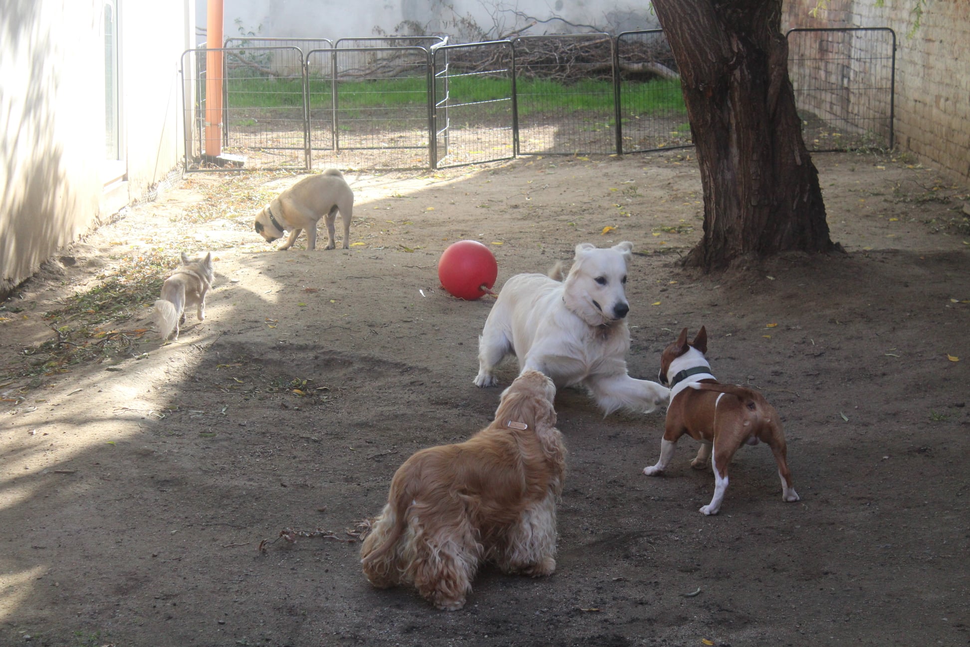 243152642 834185530533606 8300168096285722592 n - ...