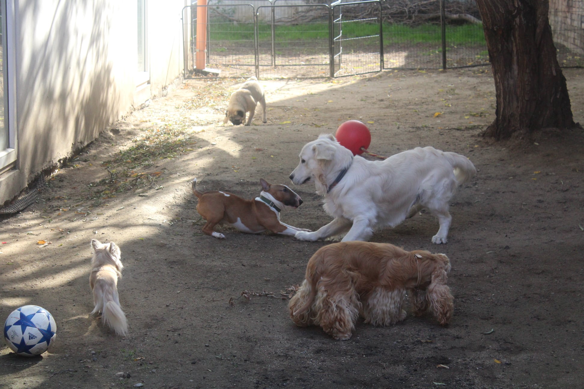 245146223 834185317200294 141366214026399051 n - ...