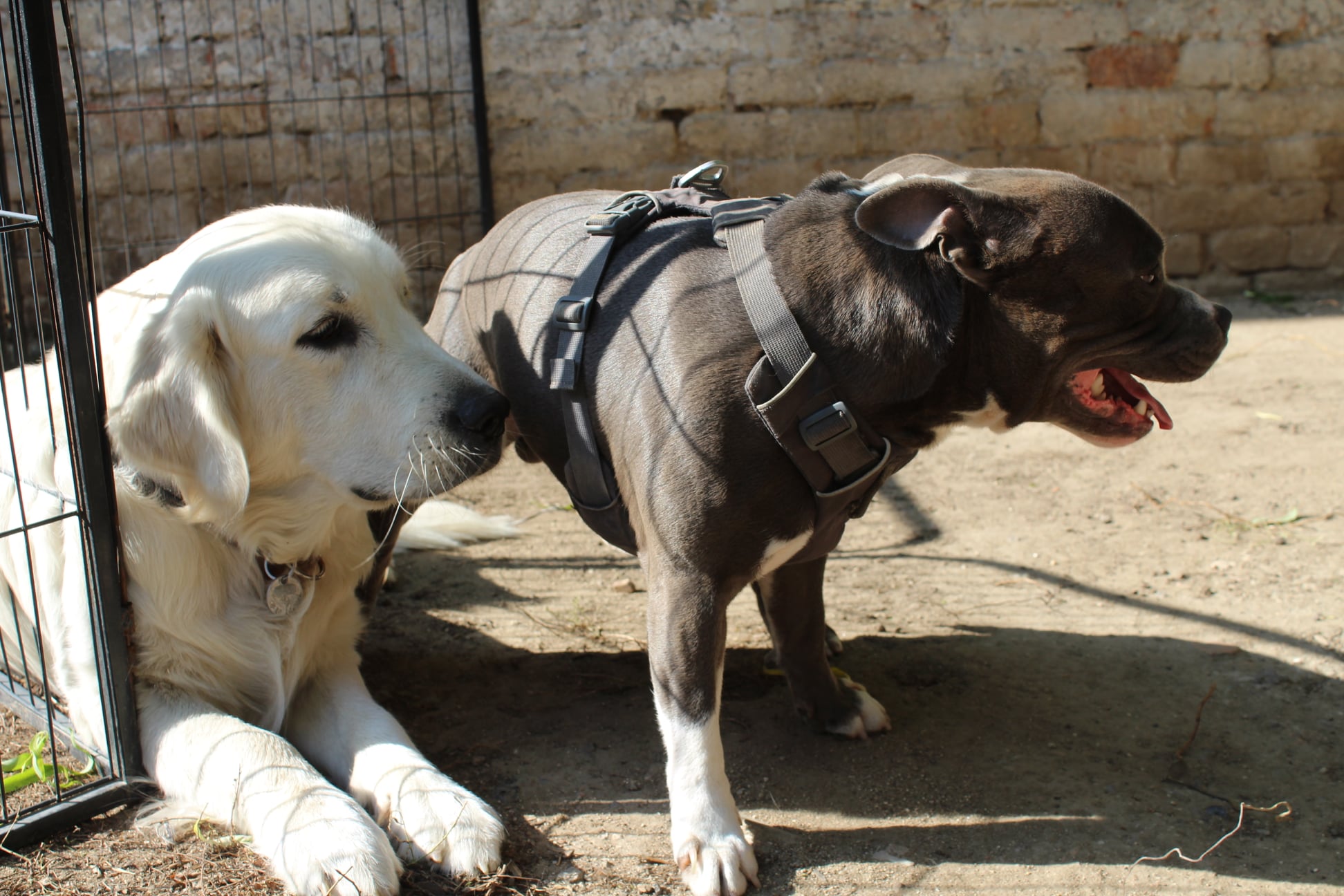 245705388 838030416815784 3023791018202548065 n - ...