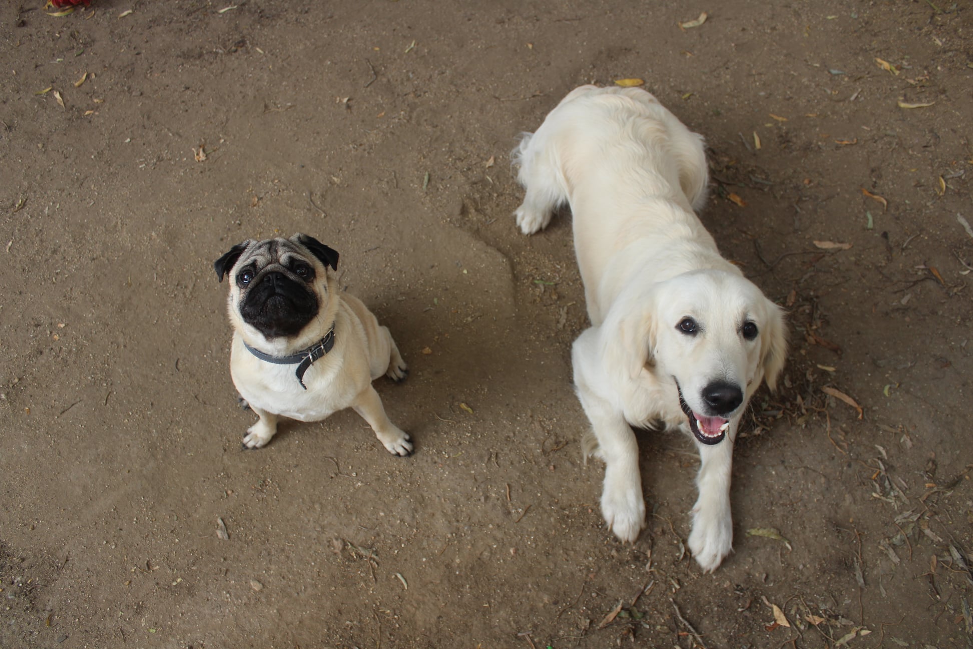 246054063 838701506748675 6011586803828939947 n - ...