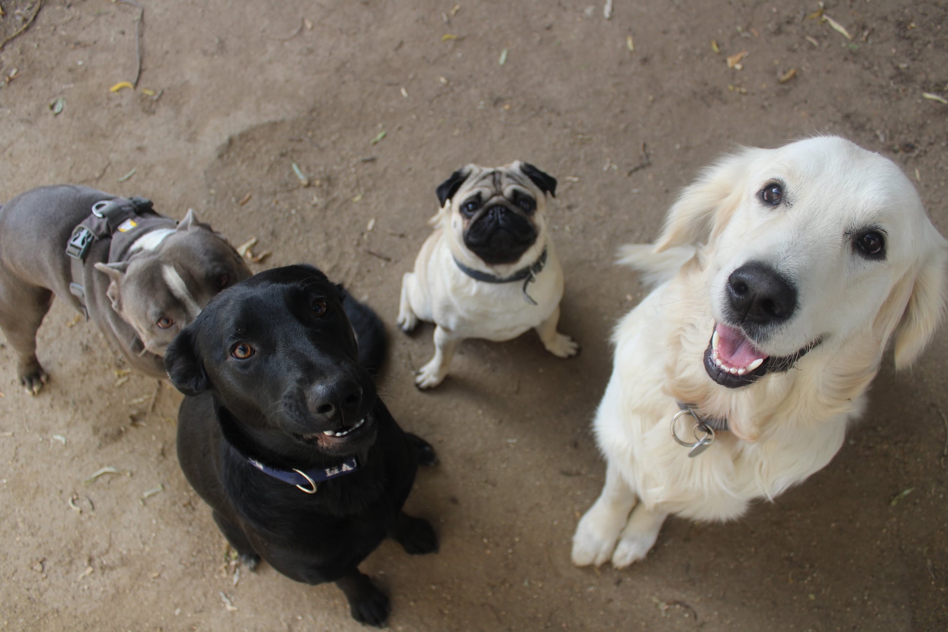 246135681 838701283415364 2734304027524415196 n - ...