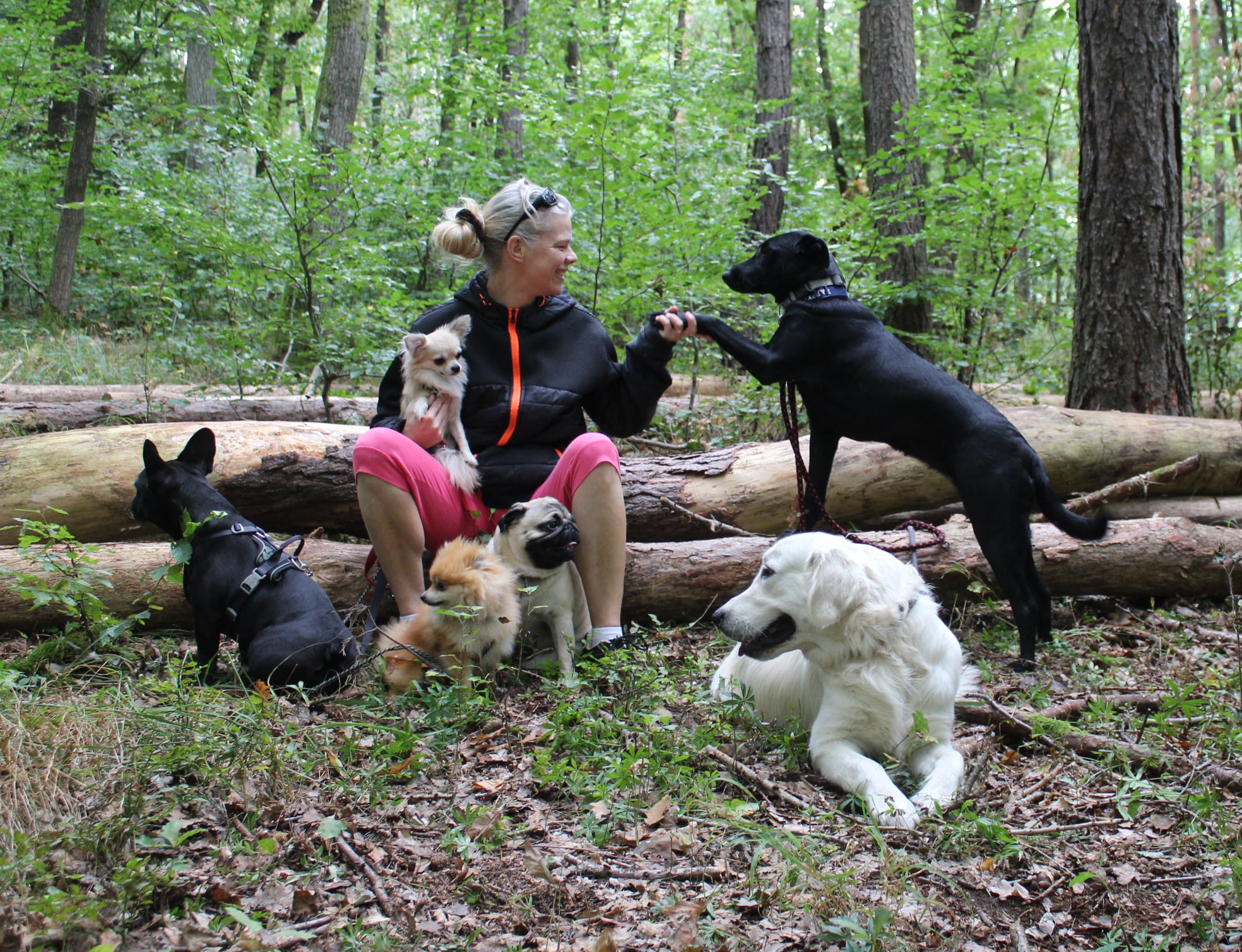 250802252 4541460735969605 3351205589341919414 n - ...