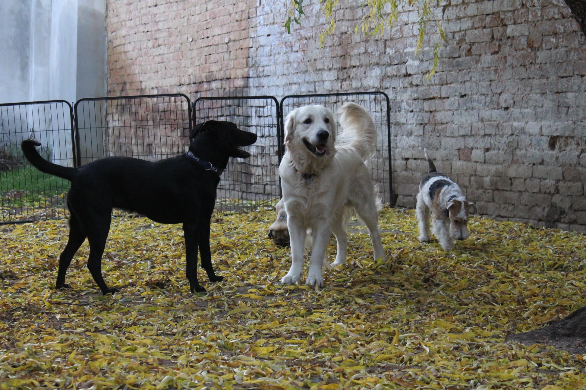 256007835 856133288338830 3527962585165620344 n - ...