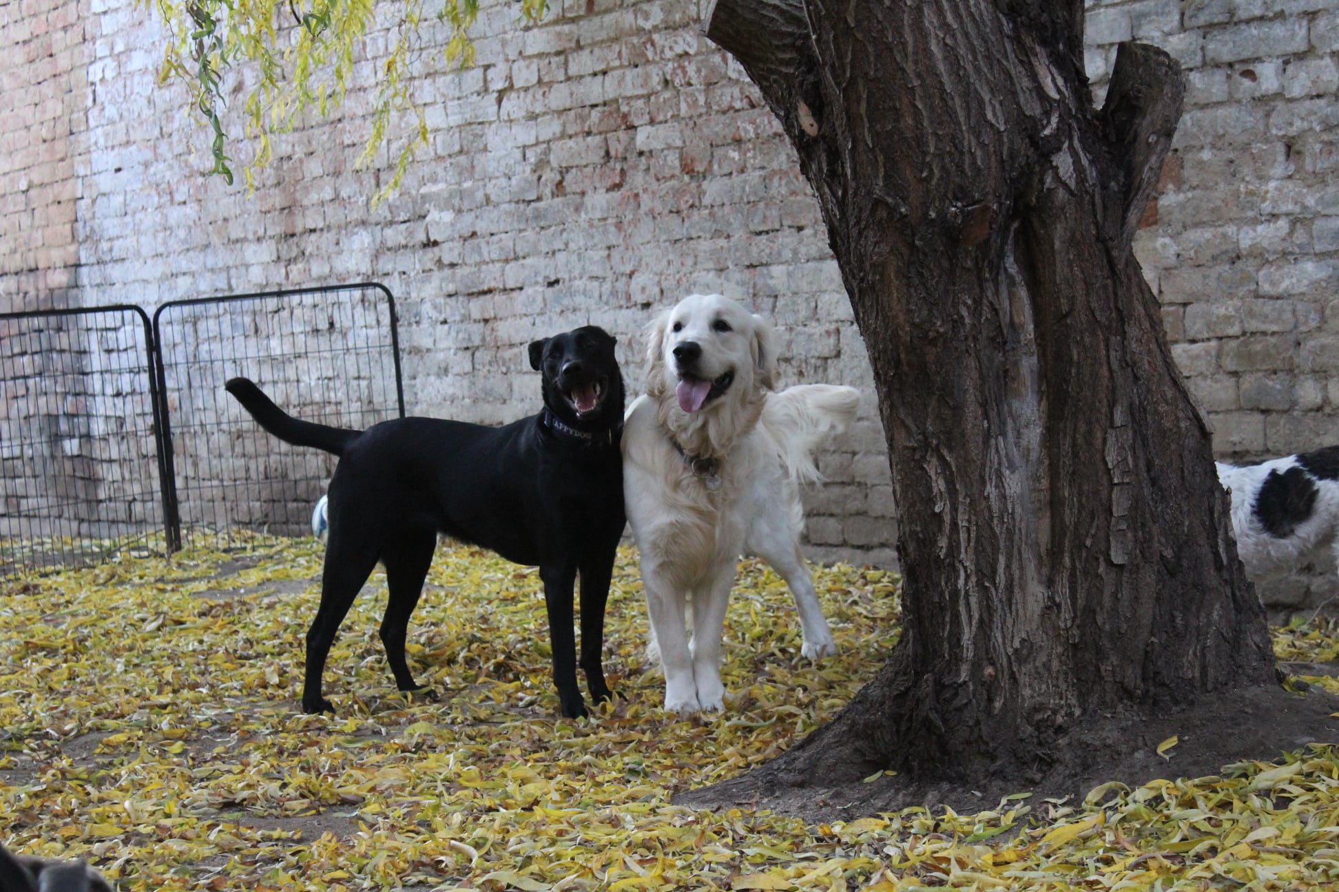 256025076 856132961672196 8159193366363468722 n - ...