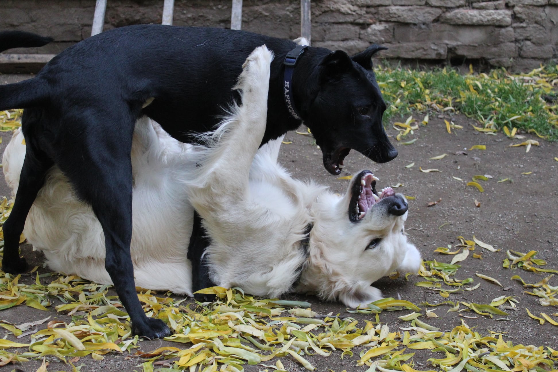 256236127 856132885005537 8469233268881541045 n - ...