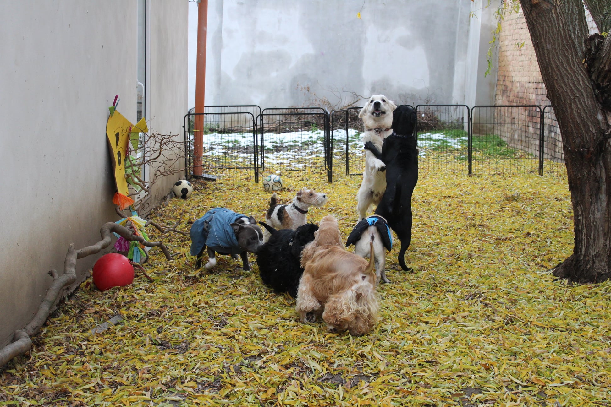 262097315 866366893982136 1835525999570554020 n - ...