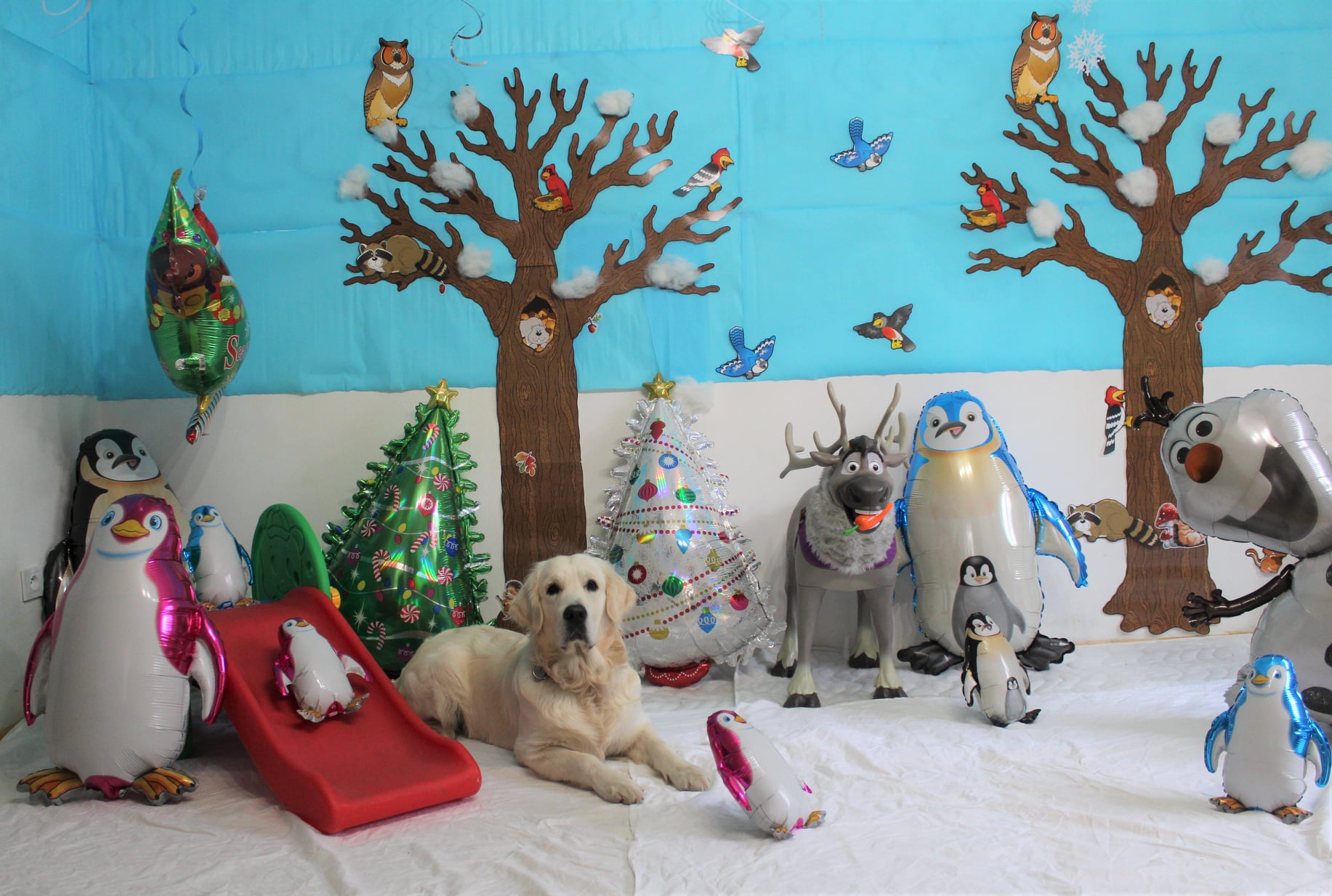 269784567 880577642561061 8874718691501143845 n - ...