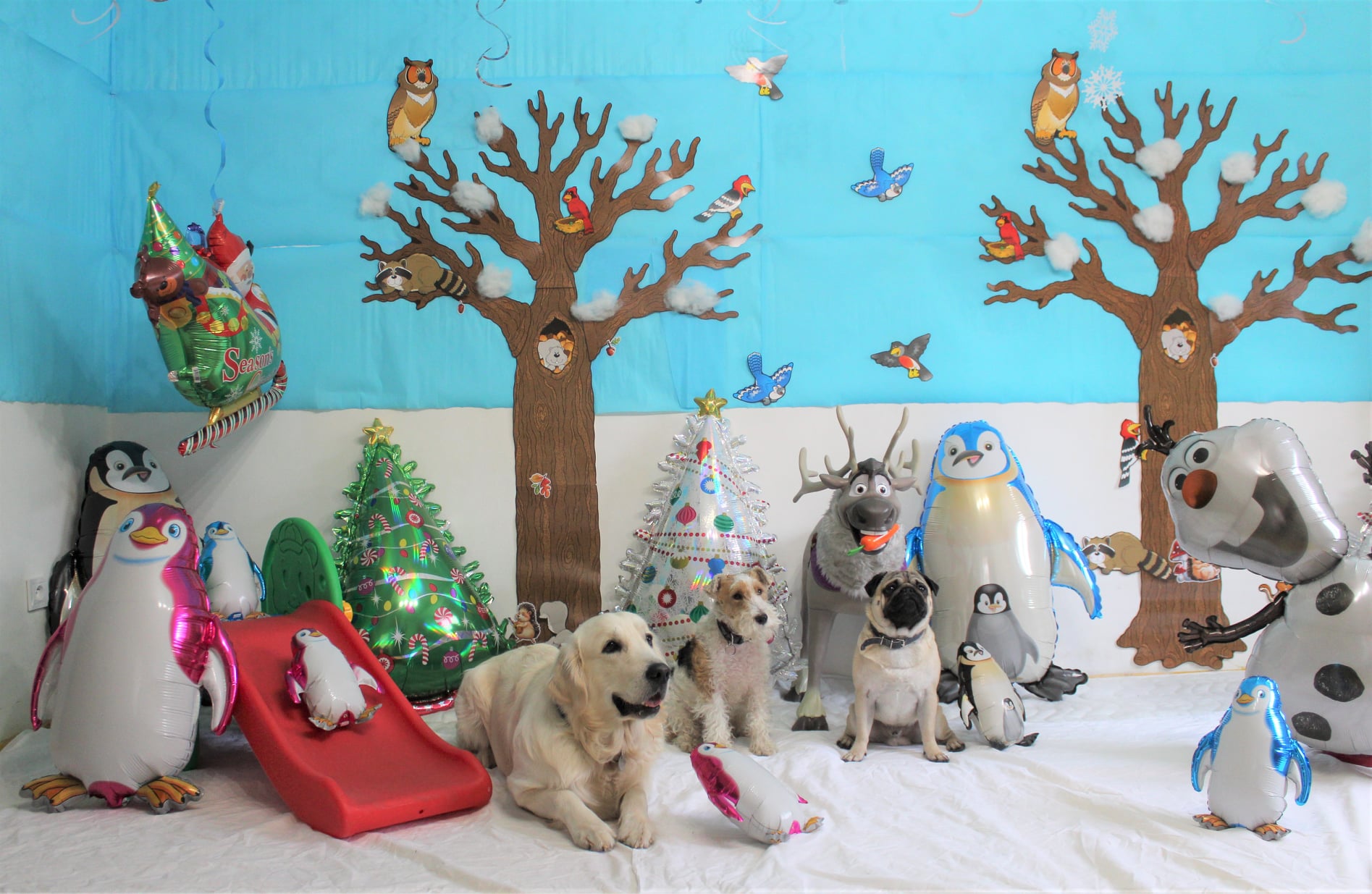 270117859 880577662561059 241671357386970253 n - ...